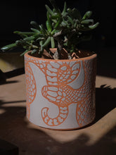 Load image into Gallery viewer, Snake succulent planter 2