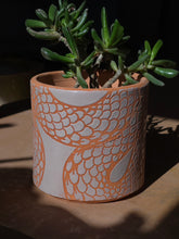 Load image into Gallery viewer, Snake succulent planter 2