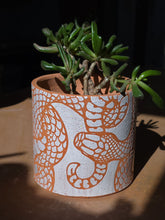 Load image into Gallery viewer, Snake succulent planter 1