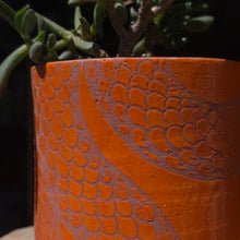 Load image into Gallery viewer, Snake succulent planter 3