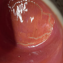 Load image into Gallery viewer, Snake cactus pot 2
