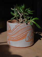 Load image into Gallery viewer, Lizard planter
