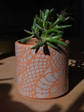 Load image into Gallery viewer, Snake succulent planter 2
