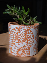 Load image into Gallery viewer, Snake succulent planter 1
