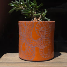 Load image into Gallery viewer, Snake succulent planter 3
